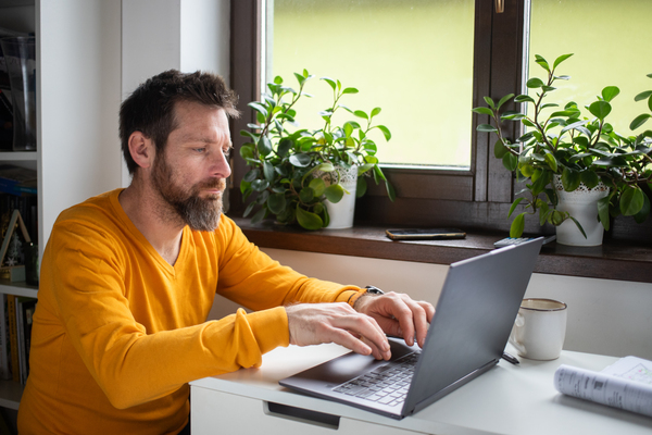 How to get a self-employed visa in the Netherlands: requirements and business plan tips