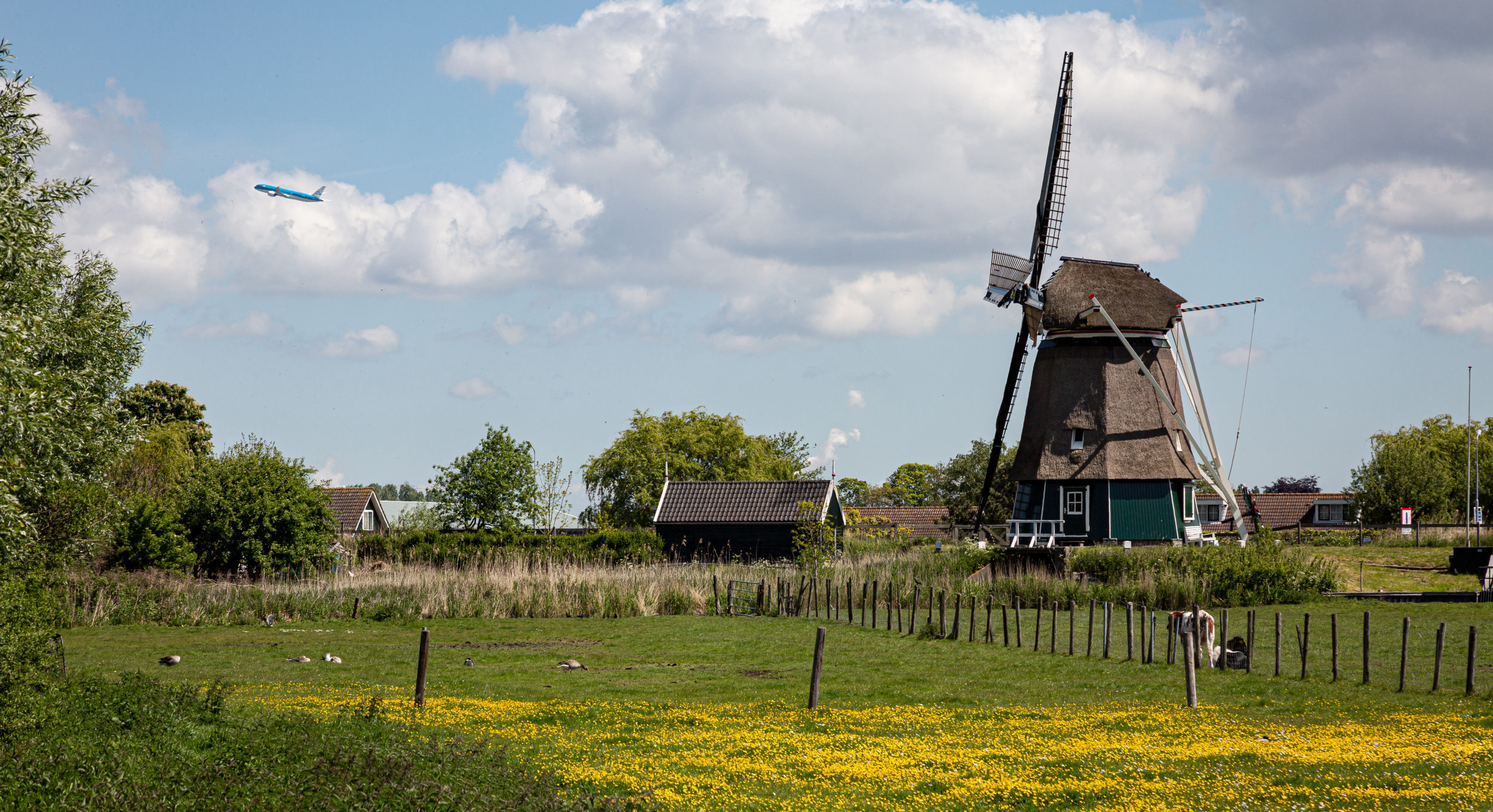 Some other residence permits known in the Netherlands